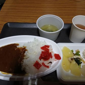 夕食