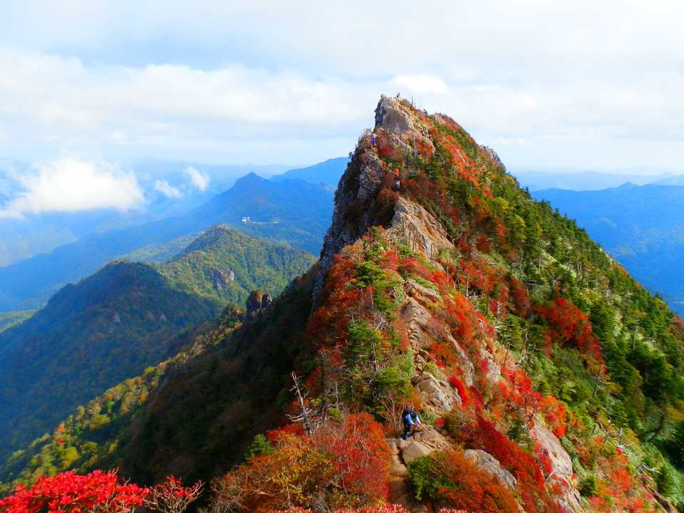珍品鑑賞石：四国石鎚山産／　崖石／奇岩石／雨天時色変化 珍品鑑賞石：四国石鎚山産／ 崖石／奇岩石／雨天時色変化 【公式通販】