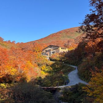 紅葉🍁に埋もれるリフト駅🚡
結局スルーして、下から登ることに