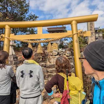 野一色権現山！白山大権現の金の鳥居！
ここで登山ビギナーのご夫妻と！
洞山まで行ってね〜！