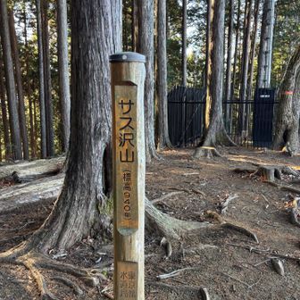 ここまでの登りがそこそこきつい