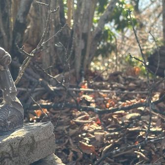 なんかほっこりする☺️