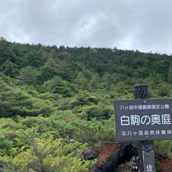ここ地味にステキ