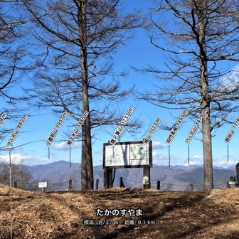 御前山の見晴らし
奥多摩ハイカーバッヂを取ろうと思うと、今日でちょうど5/8の折り返したところ
鷹ノ巣と川苔は行けそうだけど、日程的にやはり雲取山がラスボスだなあ