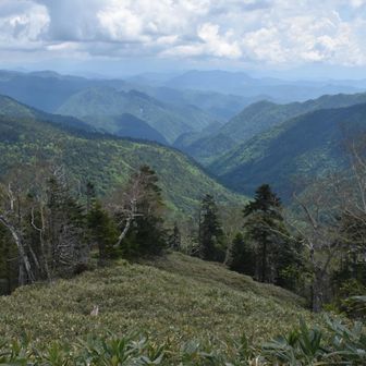 ニコンで北面の山々
正面が多分会津駒ヶ岳