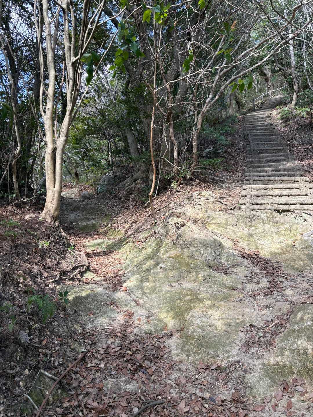 右は階段　左はロープ有りの登山道
もちろん左へ