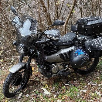 少し目を離したら…雪化粧が