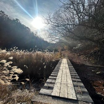 だいぶ暖かく🍂
