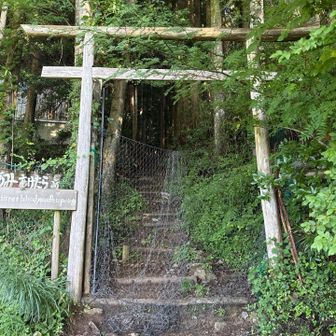 鳥居の下にネットがあります