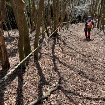 今日の行程でロープあったのここだけ