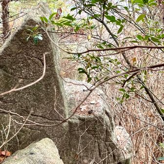 ソファー椅子（勝手に名付けた（笑））
見つけた
でも、怖くて座れない（笑）