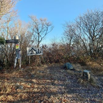 山頂はこんな感じ