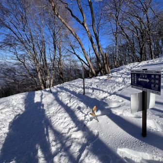 白瀬峠に戻ってきました
