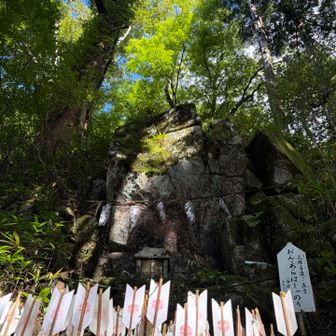 よろしくお願いします🙏