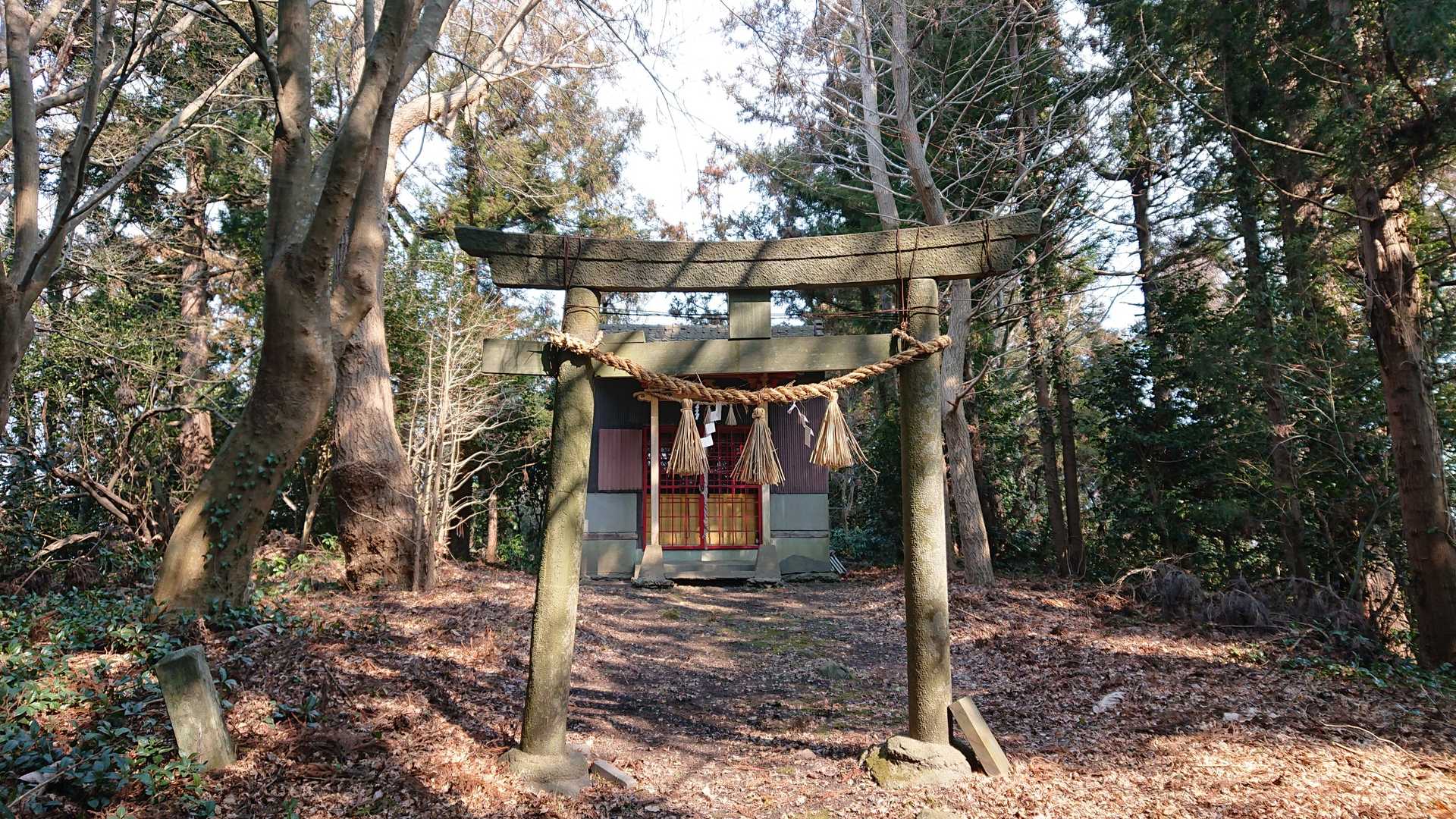 てっぺん到着ふぅー(´з`)