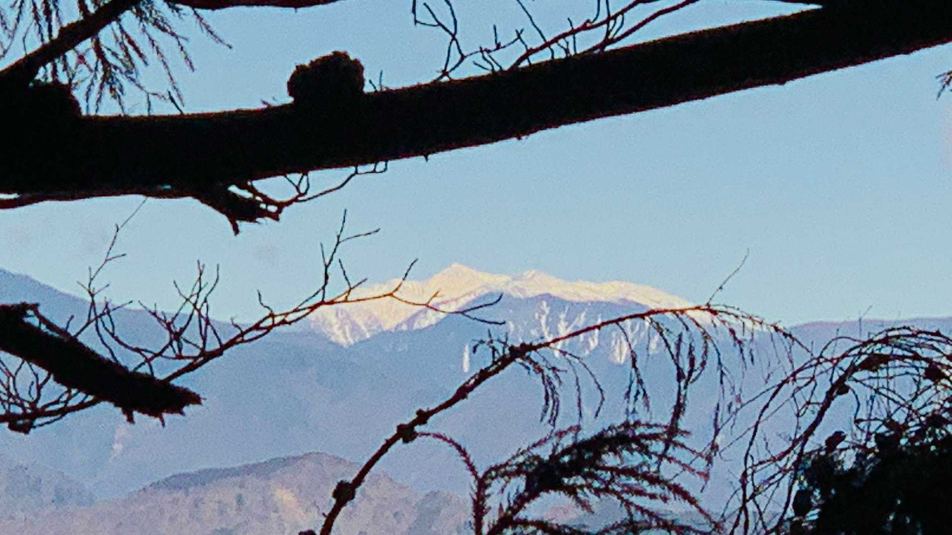 辛抱強く？いや、雑談しながら登ること25分、真っ白に雪化粧した高い山。
南アルプス聖岳かなー？😍テンションアップ⤴️