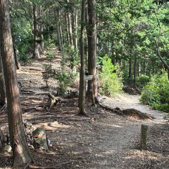 降りはヤング広場経由で健脚コースを駆け抜ける
8合目は直進