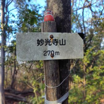 最後の6座目妙光寺山▲