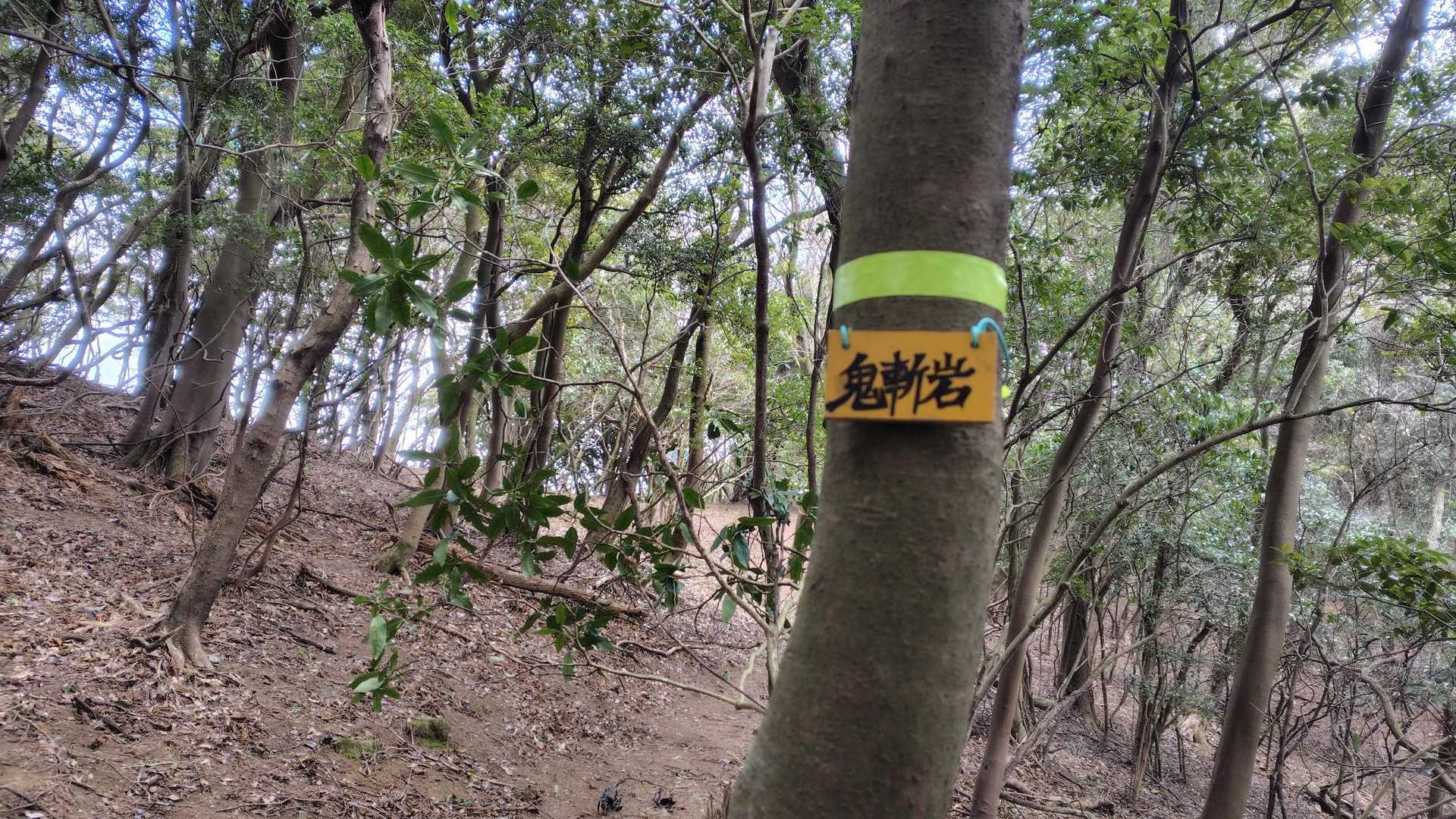 こんなの出来てました