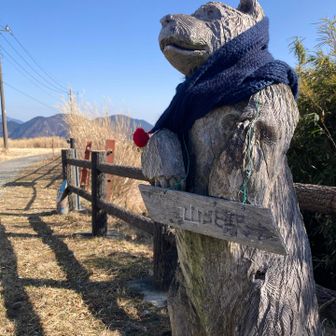 チェンソーアート💕 
素敵すぎました✨(๑°ㅁ°๑)✨おぉ

30体くらい いろんな種類が
登山道のあちこちに散りばめられてましたが
今日イチ 大きかった熊さんʕ•ᴥ•ʔ💕
