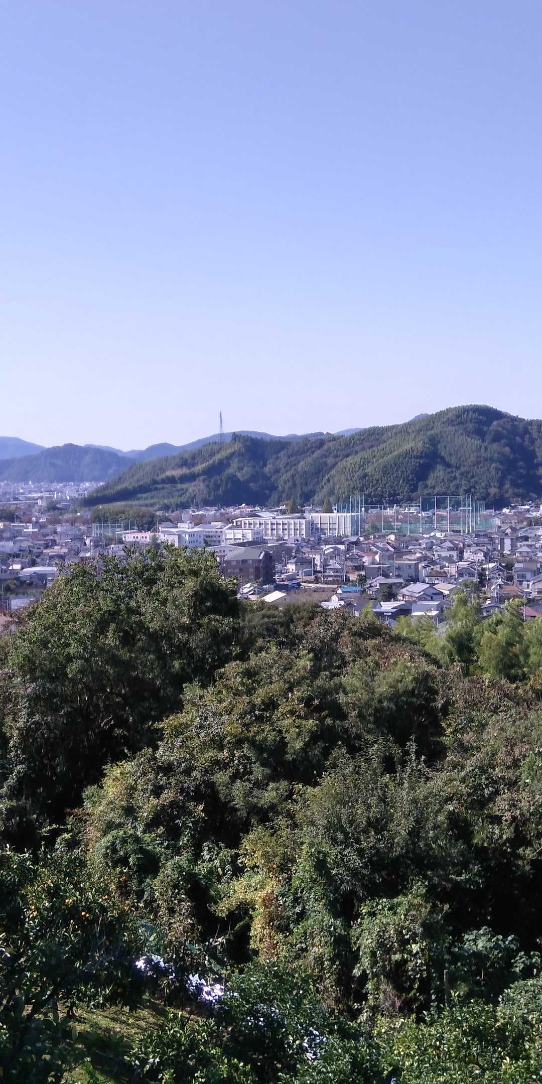 🗼川合山🏞️