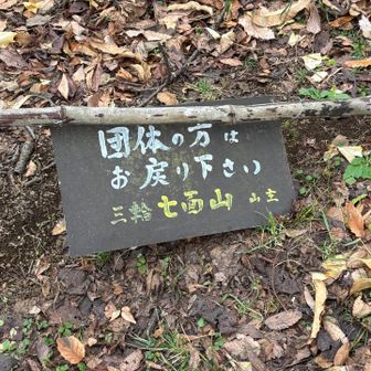 今日はソロなので登らせていただきました