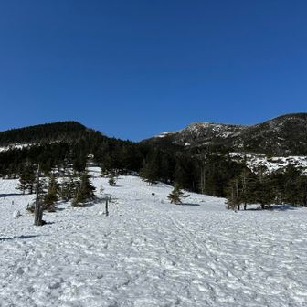 楽しい日々に感謝🙏
