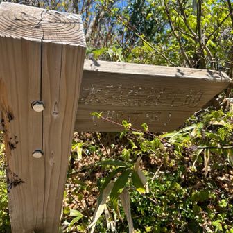 こつぶり山から7分くらい行くと避難小屋
和式トイレあり🚻