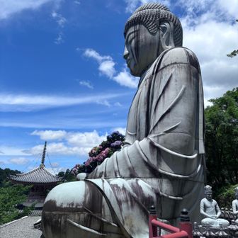 大仏様の横顔