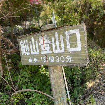 登山口まで下山。山の家までひたすら林道歩きます。