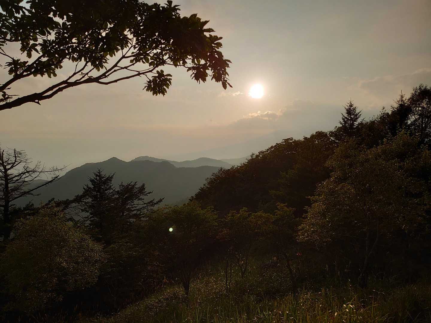 横尾山（信州峠）の写真