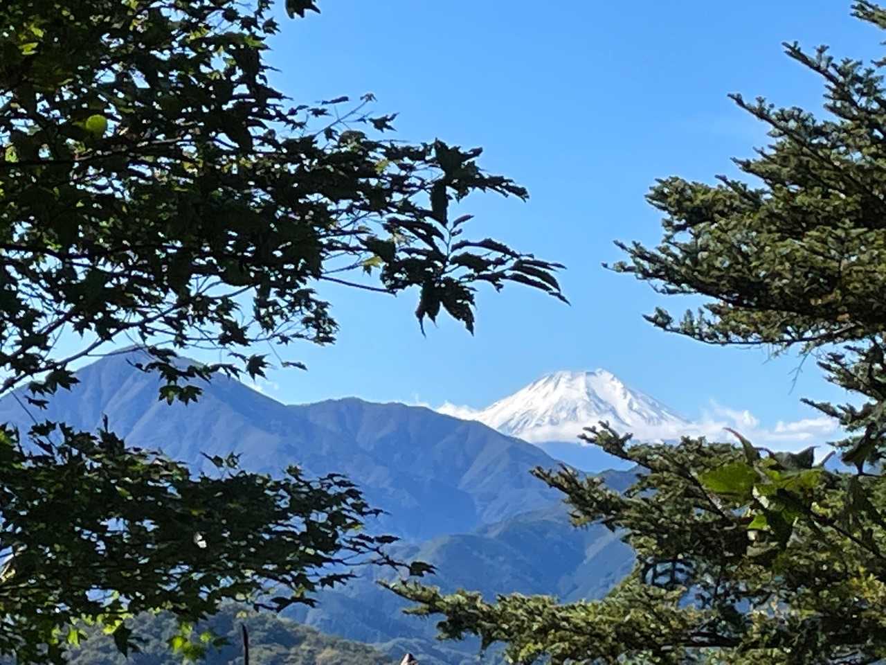 金比羅神社から見えた富士山