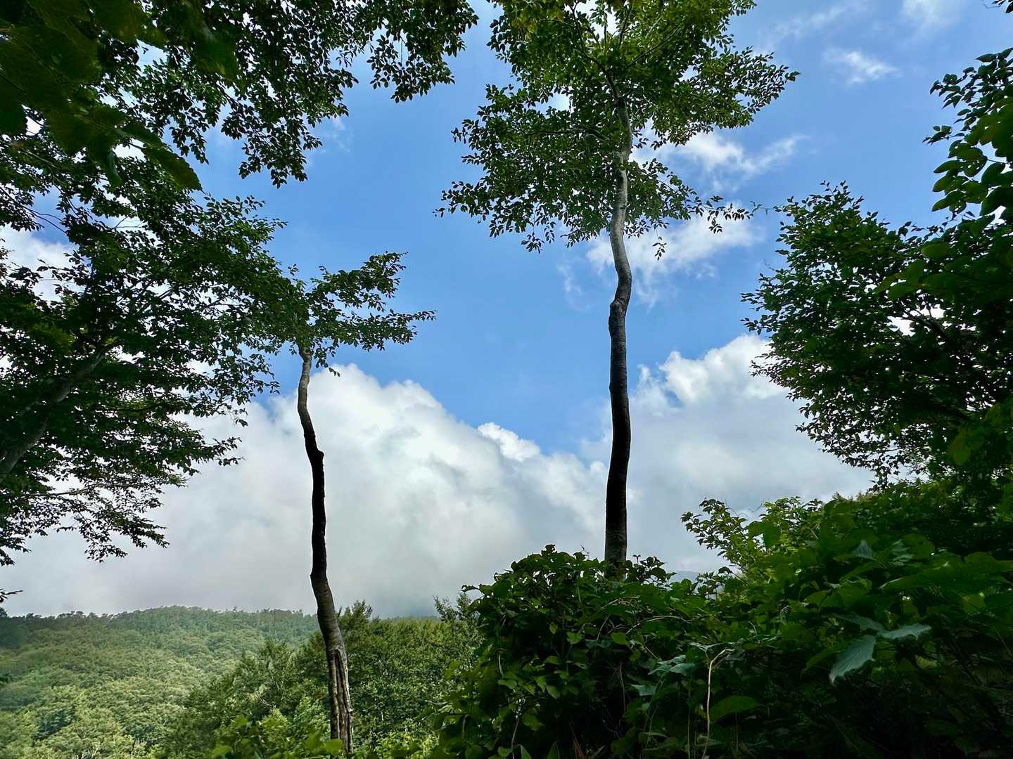 鍋倉山（関田峠登山口）の写真
