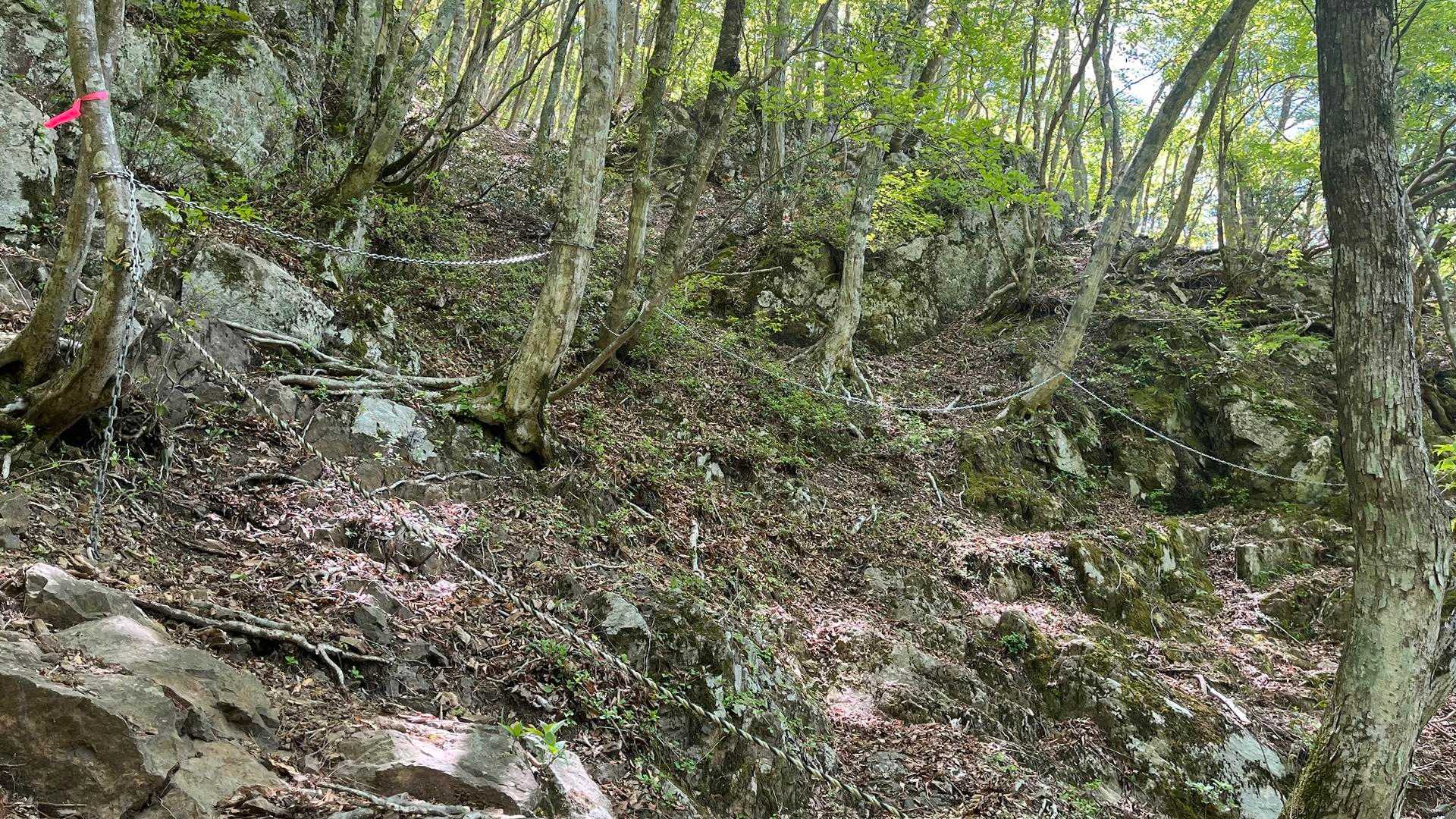 鎖とロープが張り巡らされていた
ここは上に上がって通るのが正解