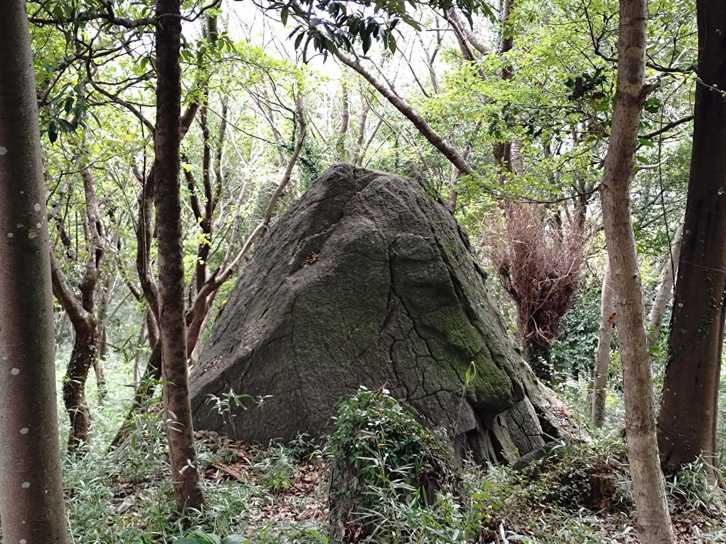 富士岩🗻