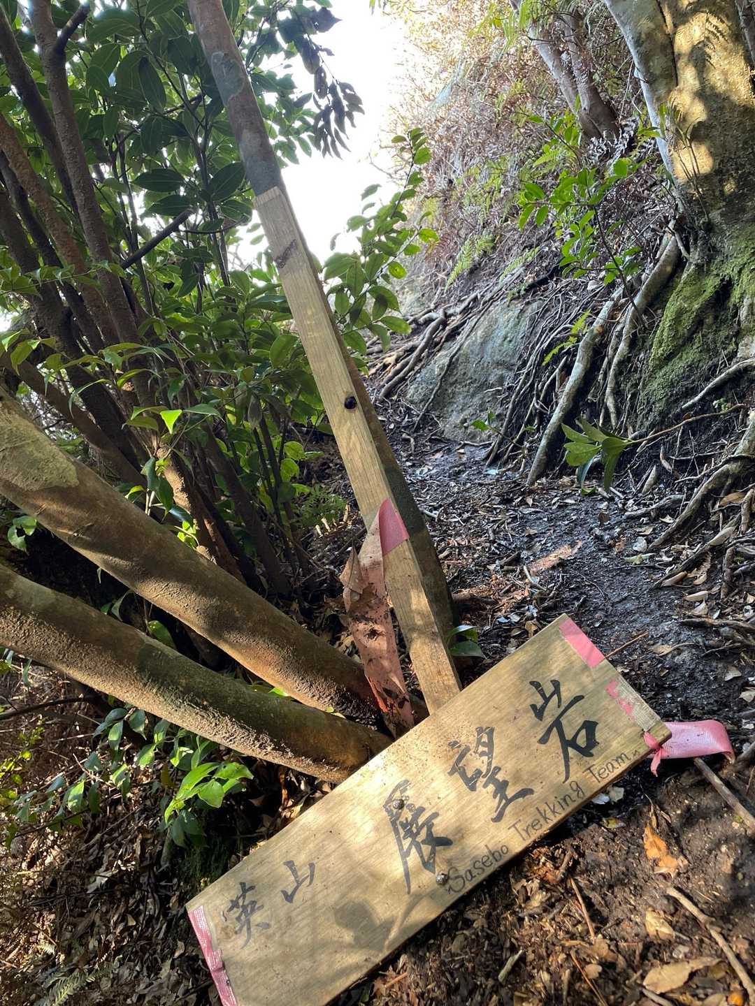 おっと？英山の前に展望岩⁉️寄らせていただきます。