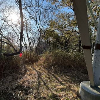 鉄塔を潜って…
予習のレポではココから胸までの笹を漕ぐ…と！
腕まくりをし（気持ち的に😤）いざ！

🙄刈ってくれており、ノンストレスでした
ありがとうございます🙏