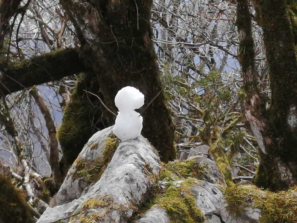 雪だるま⛄