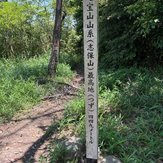 七宝山最高地点、つず