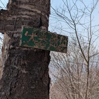 大巻舘山プレート