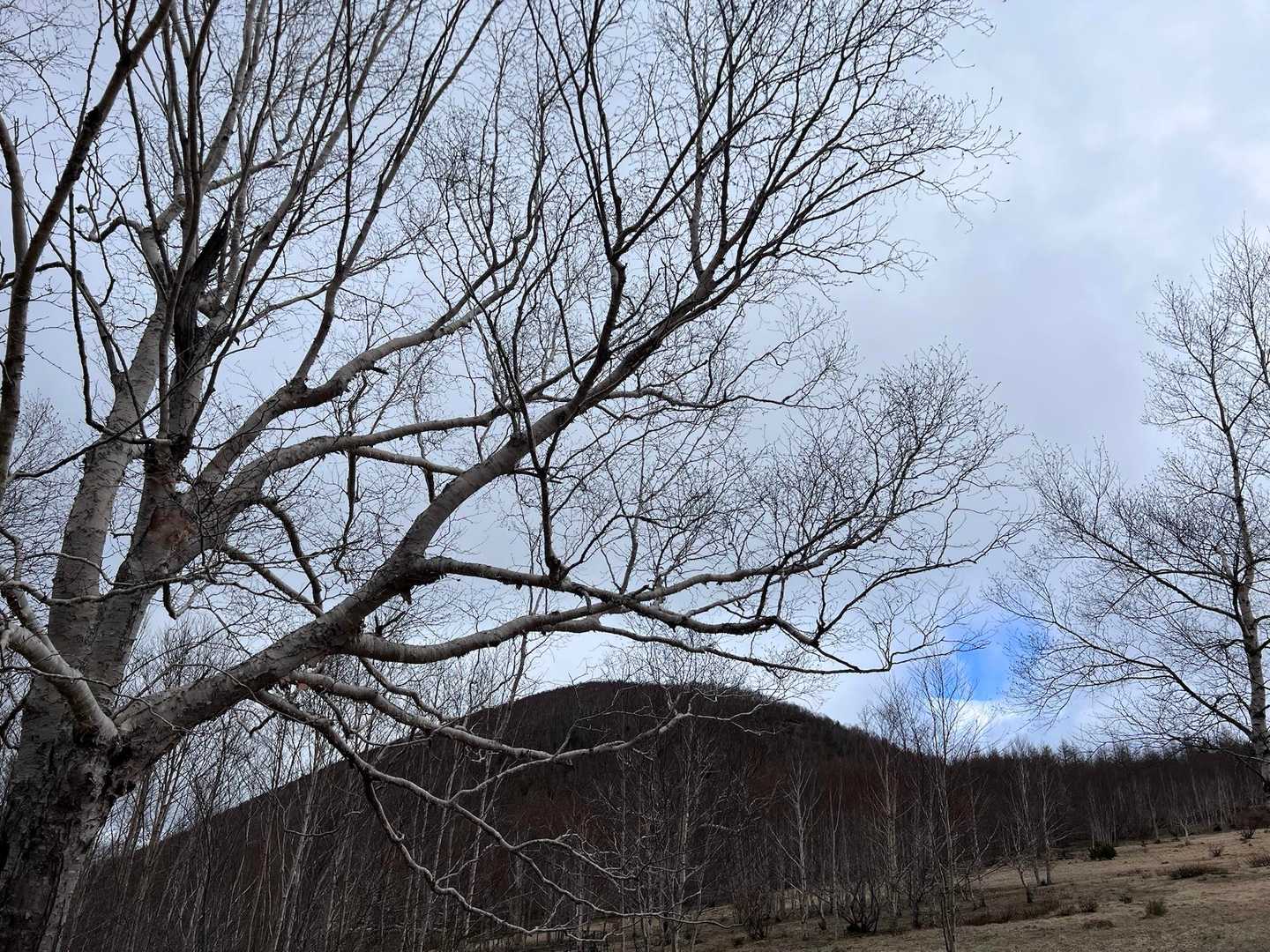 遠別岳へ向かいます