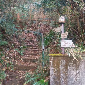 今回はまだ通った事のない金毘羅台コースから登りだします♪