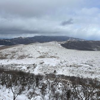 爆風でスマホを持つ手も安定せず、撮影もひと苦労。