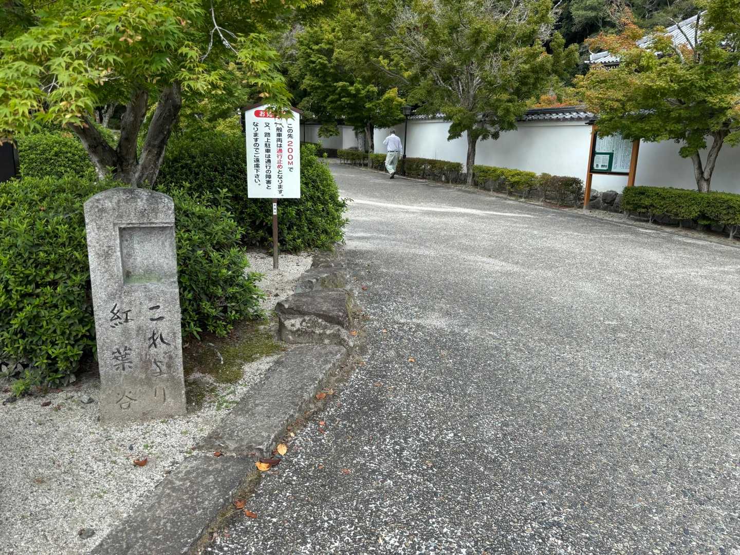 今日もここから😉