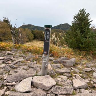 雲上の丘、2,110m。先ほどの見晴岳より高いのにYAMAPピークではない。