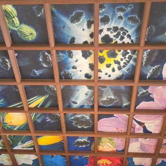 ご住職の奥さんが天井画を説明してくれた
３つご案内してくれて
1、生命の誕生
これはビッグバンだと
弾けて生命が生まれてきた
ﾀﾌﾞﾝ