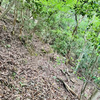 登山道わかんない！