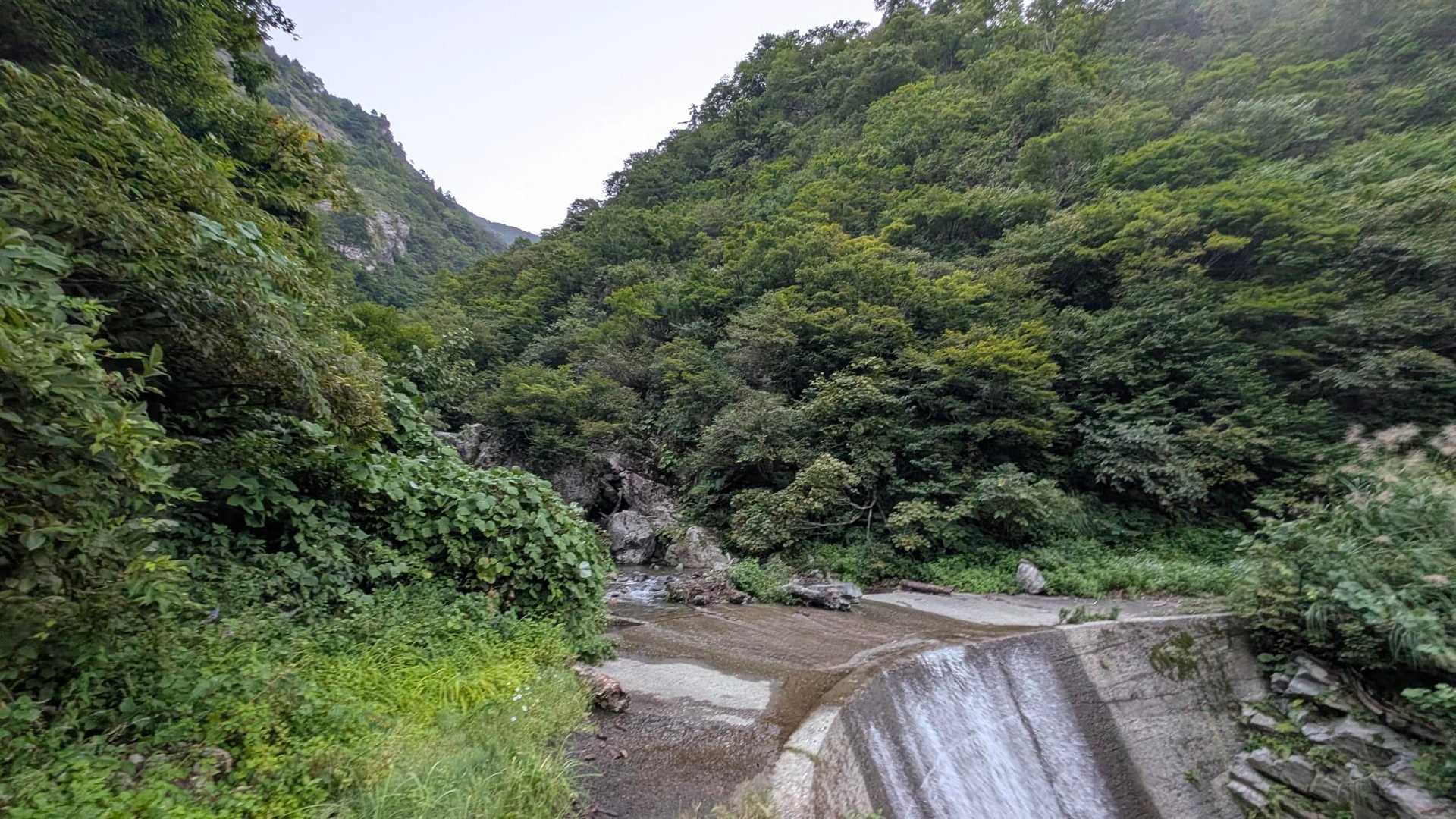 十二平登山口-グシガハナ-越後駒ヶ岳 往復コースの写真
