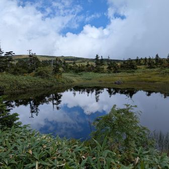 龍ノ峰からのここが唯一の大きな池塘。
地図上は沢山あるけど笹があって他はよく見えないてす。