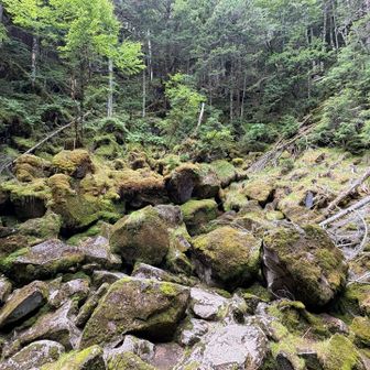 こんなとこでした
すり鉢状の神秘的な空間
雨が降るとここに水が溜まるようです
(別の方のレポで池になっている写真を見た)